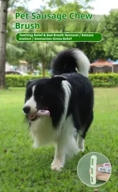 DOG Chew Toys For Teeth Cleaning,Pet Sausage Chew Brush,Pet Chew & Clean Buddy (Option: Green)
